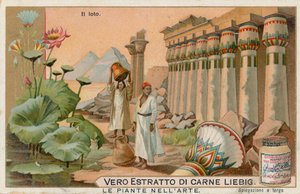 Plants in Art by European School