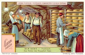Roquefort cheeses maturing in France