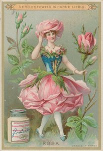 Rose Flower Girl by European School