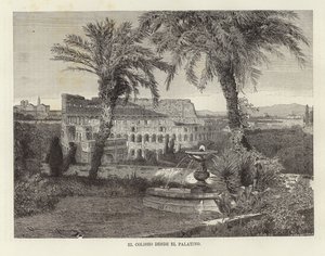 The Colosseum from the Palatine by European School