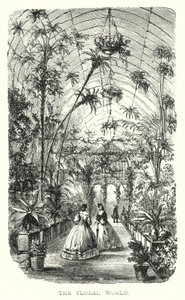 The Floral World by European School