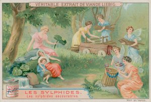 The Helpful Sylphs