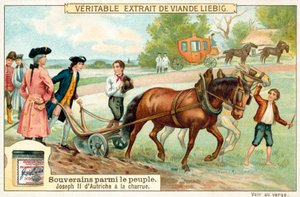 The Holy Roman Emperor Joseph II ploughing by European School