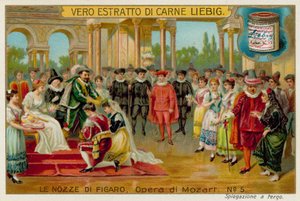 The Wedding
