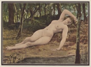 The siesta by European School