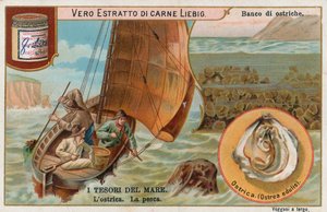 Treasures of the Sea by European School