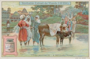 Varanasi Wedding Traditions by European School
