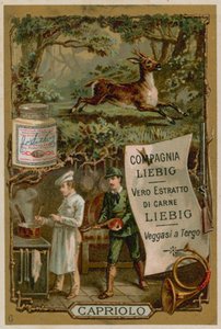 Venison by European School