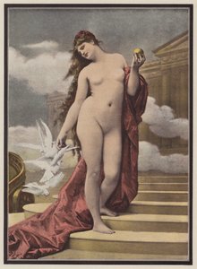 Venus by European School