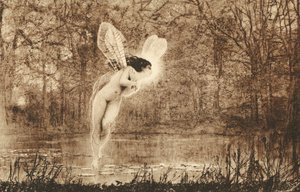 Water Nymph Hovering Over Water