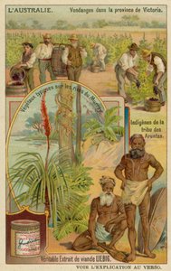 Winegrowers in Victoria, Aranda Aborigines and Typical Plants Along the Murray Riverbanks by European School