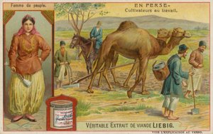 Woman and Farmers at Work by European School