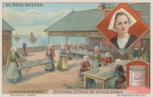 Women Preparing Sardines