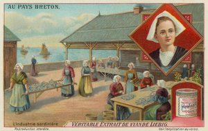 Women Preparing Sardines