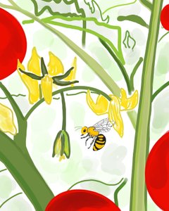 Bee on Vine by Evan Sklar