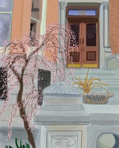 Blooming Cherry Tree, Brooklyn