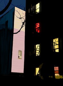 Colorful Windows of Apartment Buildings at Night, Brooklyn