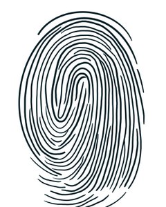 Drawing of a Fingerprint, Brooklyn by Evan Sklar