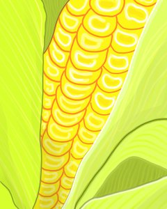 Ear of Corn