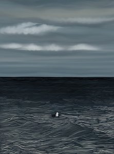 Gull Floating On Water and Stormy Sky by Evan Sklar