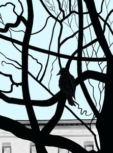 Hawk on Branch in City by Evan Sklar