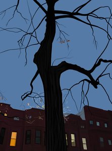 Houses and Tree at Night, Brooklyn