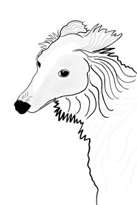 Line Drawing of Silken Windhound