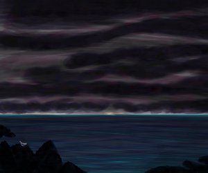 Ocean and Sky with Bird at Night