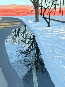 Puddle and Snow In Park, Brooklyn