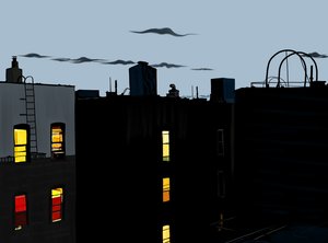Roof Top and Buildings on Summer Night by Evan Sklar