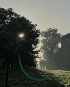 Smiling Sunrise