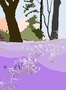Spring Crocus by Evan Sklar
