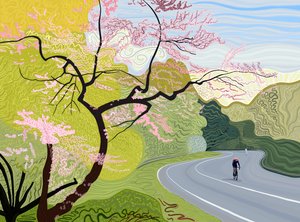 Spring Cyclist in Prospect Park