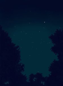 Stars in the Sky at Night and Outline of Trees