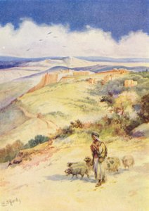 David the Shepherd Boy