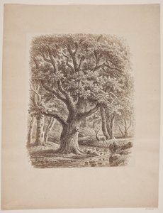Forest Interior with a Stream and a Deer by F.C. Kiærskou