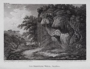 The Dropping Well, Yorkshire by F. (after) Nicholson
