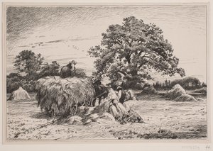 Autumn Landscape