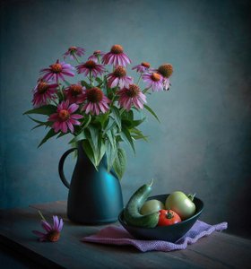Echinacea and Harvest