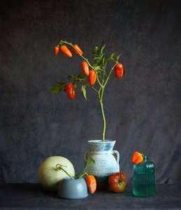 Orange Tomatoes Rustic Still Life