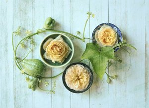 Pastel Roses Gourds