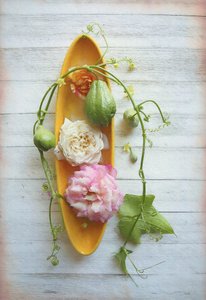 Rustic Rose and Chayote by Fangping Zhou