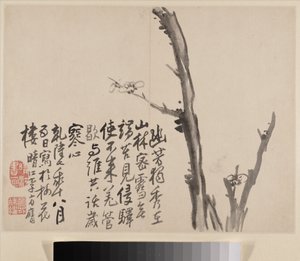 Album of Blossoming Plum