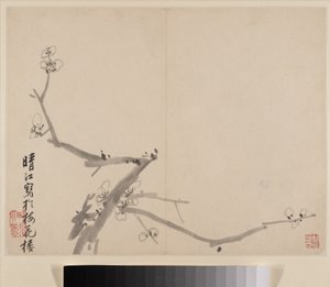 Album of Blossoming Plum