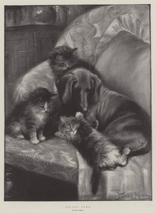 Velvet Paws by Fannie Moody