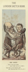Caricature of Charles Darwin