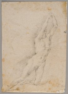 Drawing by Fedele Fischetti