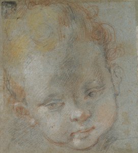 Head of a Child, late 16th century by Federico Barocci
