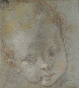 Head of a Child by Federico Barocci