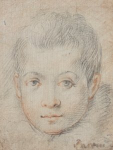 Head of a Boy by Federico Zuccaro